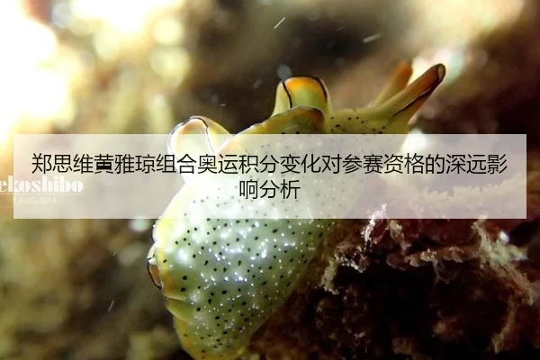 郑思维黄雅琼组合奥运积分变化对参赛资格的深远影响分析